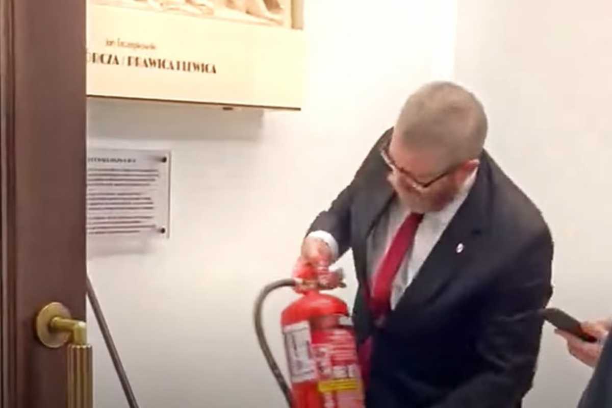 Dyktatorzy i Lewaki Baner